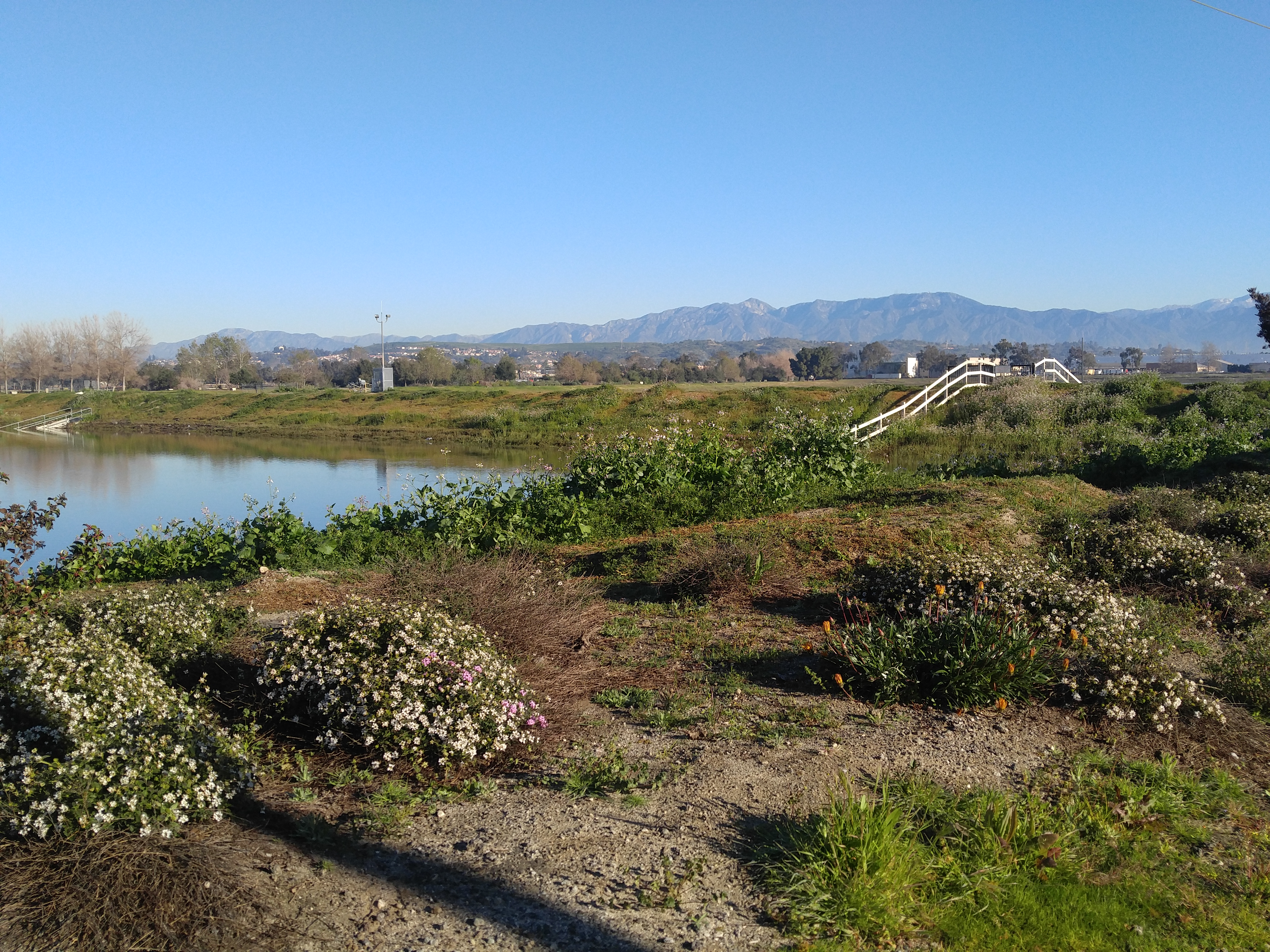Wild flowers grow on the spreading ground banks. A deep pool of calm water in the basin reflects the blue sky. The San Gabriel mountains are visible to the north in the background.